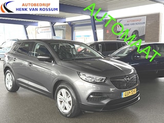 Opel Grandland X 1.2 Turbo Business Executive Automaat | Camera | PDC | Carplay | Stoelverwarming.
