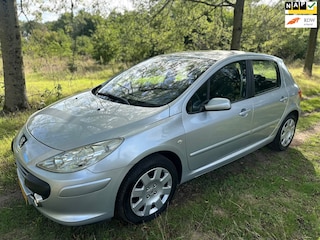 Peugeot 307 APK 18-06-2027