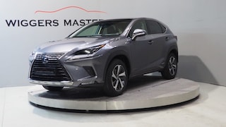 Lexus NX President 197 PK, Mark Levinson, Glazen dak, 360 Camera, Leder, vol!