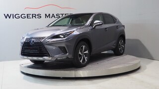 Lexus NX President 197 PK, Mark Levinson, Glazen dak, 360 Camera, Leder, vol!