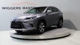 Lexus NX President 197 PK, Mark Levinson, Glazen dak, 360 Camera, Leder, vol!