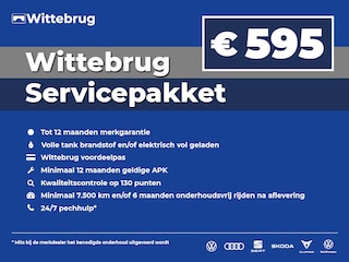 Skoda Scala 1.0 TSI Business Edition / App connect / Camera / Parkeersensoren V+A / Stoelverwarming /