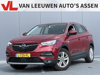 Opel Grandland X 1.2 Turbo Business Elegance | Nieuw binnen | 360 Camera | Trekhaak |
