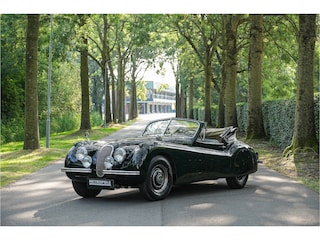 Jaguar XK120 S0396 - M1242