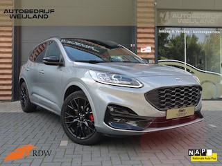 Ford Kuga 2.5 PHEV ST-Line X BLACK-LINE NIEUWSTAAT 225PK I 2de eig. I 20" I ST-LINE I Camera I Navi I Carplay I Leer I Black-Line I 225PK I