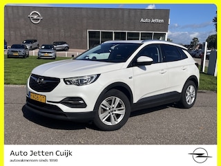 Opel Grandland X 1.2 Turbo Business + #RIJKLAAR# | Trekhaak | ECC