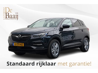 Opel Grandland X 1.2 Turbo Business Edition | Winter pakket | Achteruitrijcamera | 17'' Licht metaal