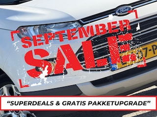 Ford Ecosport 1.0 EcoBoost Titanium- Diamond White - Hoge Instap/Cruise/Airco - Compleet & Comfortabel