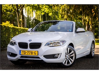 BMW 2-serie Cabrio 228i High Executive Leder Windscherm