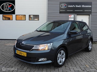 Skoda Fabia Hatchback 1.2TSi 110pk DSG-7 AUTOMAAT JOY LM PDC