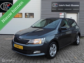 Skoda Fabia Hatchback 1.2TSi 110pk DSG-7 AUTOMAAT JOY LM PDC