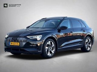 Audi e-Tron 55 quattro 95 kWh (Goed OndH, Panorama, Carplay, Trekhaak, Lane Assist, StoelV, Camera, Addapt Cruise, Etc)