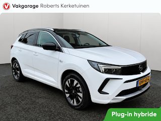 Opel Grandland 1.6 Turbo PHEV 225PK Ultimate Winterpack Alcantara Trekhaak Camera Navigatie