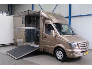 Mercedes-Benz Sprinter 313 2.2 CDI 432 - Paardenwagen, Horsetruck, Hengstenuitvoering.