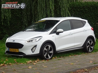 Ford Fiesta 1.0 100pk Automaat Active met Navi en WinterPack