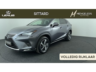 Lexus NX 300h AWD President Line Schuif kanteldak