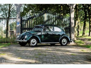 Volkswagen Kever 1100 Ovaal