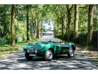 Arnold-Bristol Roadster Bolide S0013 - M1235