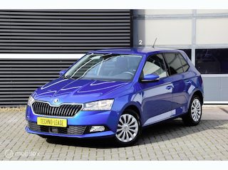 Skoda Fabia 1.0 TSI Business Edition cruise control Apple carplay