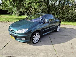 Peugeot 206 1.6-16V Roland Garros
