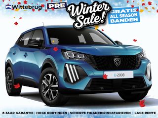 Peugeot 2008 EV Business 54 kWh DIRECT RIJDEN - RIJKLAAR - 8 JAAR GARANTIE