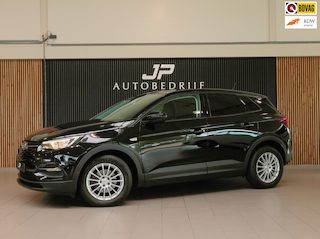 Opel Grandland X 1.2 Turbo Business Edition | CARPLAY | CRUISE | AUTOMAAT | STOEL-EN STUURVERWARMING | CAMERA | CLIMATE CONTROL