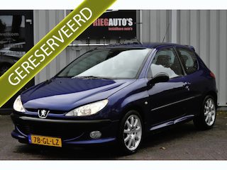 Peugeot 206 GTI 2.0-16V – 2001 | Ideale Tracktool / Ringtool | Circuitproject