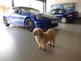 Subaru BRZ 2.0 Final Edition Nr. #3/38 incl. Certificate of Authenticity