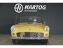 Ford Thunderbird CONVERTIBLE 4.8 V8 AUT. + HARDTOP