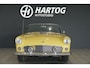 Ford Thunderbird CONVERTIBLE 4.8 V8 AUT. + HARDTOP