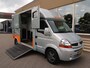 Renault Master T35 2.5 DCI 150 PK ANEMONE MTM PAARDENWAGEN HORSE TRUCK HENGSTEN UITVOERING