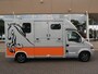 Renault Master T35 2.5 DCI 150 PK ANEMONE MTM PAARDENWAGEN HORSE TRUCK HENGSTEN UITVOERING