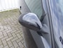SEAT Ibiza 1.6-16V Freestyle ( APK KEURING BIJ AFLEVERING! )