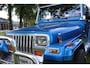 Jeep Wrangler 2.5 Cabrio Hardtop LEUKE AUTO!
