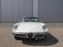 Alfa Romeo Spider 1750 Bianco Spino