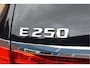 Mercedes-Benz E-klasse Estate 250 Business Trekhaak Achteruitrij Camera Automaat