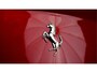 Ferrari FF 6.3 V12 HELE ROSSO MARANELLO + LED STUUR + CARBON INTERIEUR + LIFT V&A + 3 X CAMERA + DVD SCHERMEN + CRUISE CONTROL + NAVIGATIE + BLUETOOTH + JBL AUDIO + STOELVERWARMING&-KOELING + AFS + FRONT PPF + 20" LM-VELGEN!!