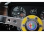 Alfa Romeo Giulia 1300 Ti PERFECT VOOR KLASSIEKE RALLY'S