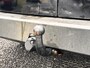 Ford Transit Connect 1.5 TDCI L1 Economy Edition Airco,Bluetooth,LM Velgen,Dak Imperiaal,Trekhaak,N.A.P,Nieuwe Apk bij Aflevering