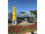 Renault Twingo 1.2-16V Collection
