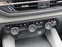 Citroën C5 X 130pk P.T. Business Plus (Climate/NAV./LEER/Camera/DIRECT rijden!!)
