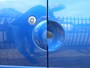 Renault Twingo 1.2-16V Dynamique