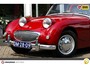 Austin Healey Sprite HEALY SPRITE Sprite MK1 -gerestaureerd- Incl. taxatierapport