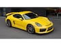 Porsche Cayman GT4 3.8