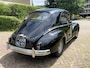 Peugeot 203 