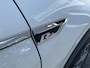 Volkswagen Tiguan 2.0 TSi DSG 4Motion Highline Business R-Line | EL. TREKHAAK | STANDKACHEL | PANORAMADAK |