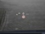 Opel Insignia Sports Tourer Business Elegance 2.0 Turbo 200pk Automaat Opel Insignia Sports Tourer Business Elegance  2.0 Turbo 200pk Automaat SCHUIF-DAK | LEDER | HUD | 18''LM | DAB | APPLE-CARPLAY | CAMERA | BOSE