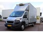 Peugeot Boxer 435 2.2 HDI L3H2 XR laadbak + laadklep koel vries THERMO KING klein rijbewijs