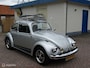 Volkswagen Kever Silver Bug