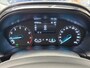 Ford Fiesta 1.0 ECOBOOST TITANIUM CRUISE CONTROL APPLE CARPLAY/ANDROID STUUR EN VOORRUITVERWARMING RIJSTROOKSENSOREN PDC ZEER MOOI !! 3010 DEK